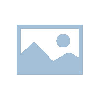 员工入职声明书（参考模板）